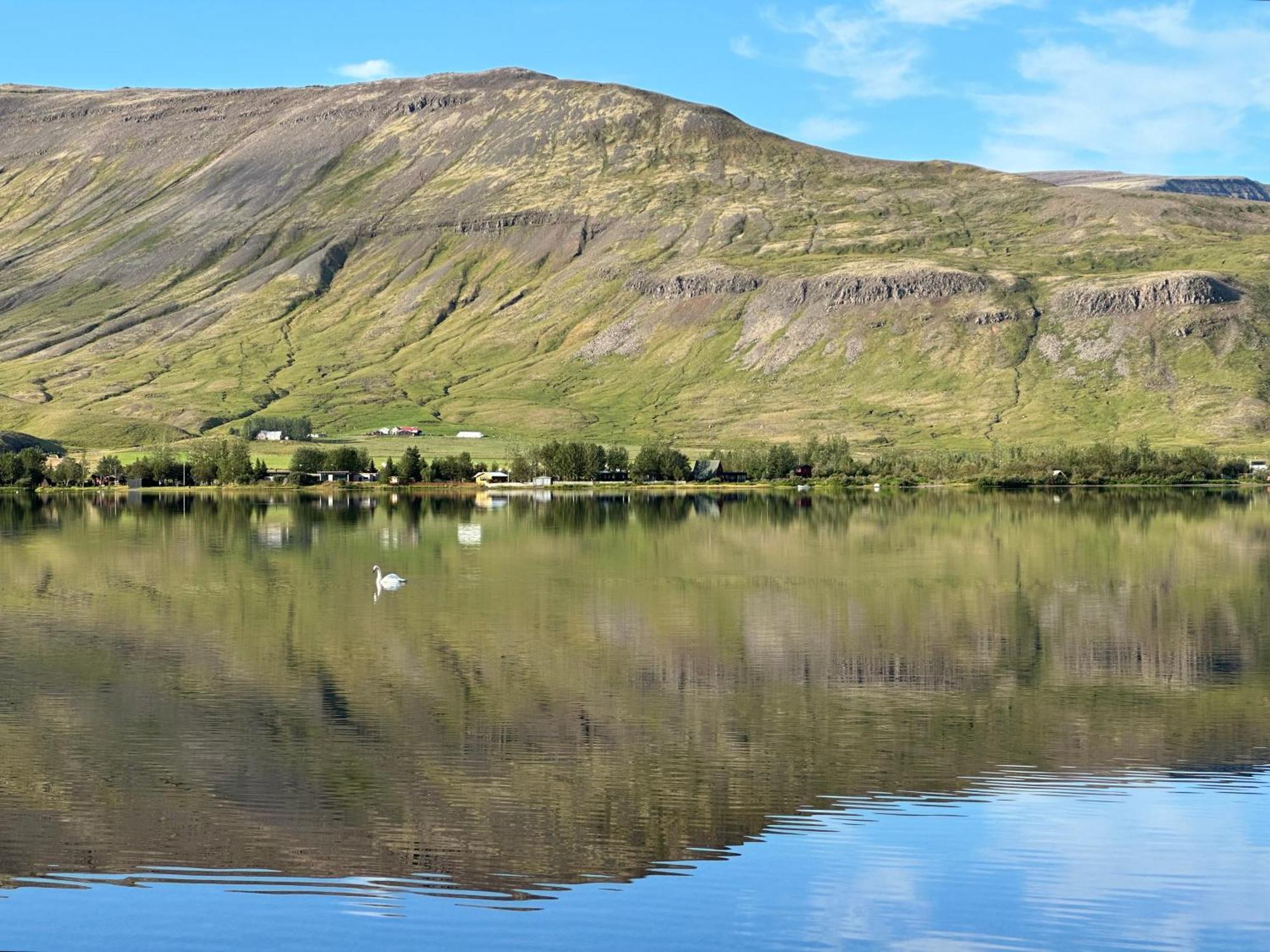Cosy Lakeview Cabin 45 Minutes From Reykjavik Mosfellsbaer Esterno foto